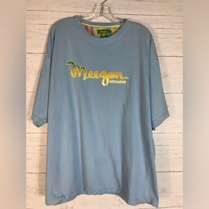 Meezan Artcouture embroidered blue tshirt size 2XL